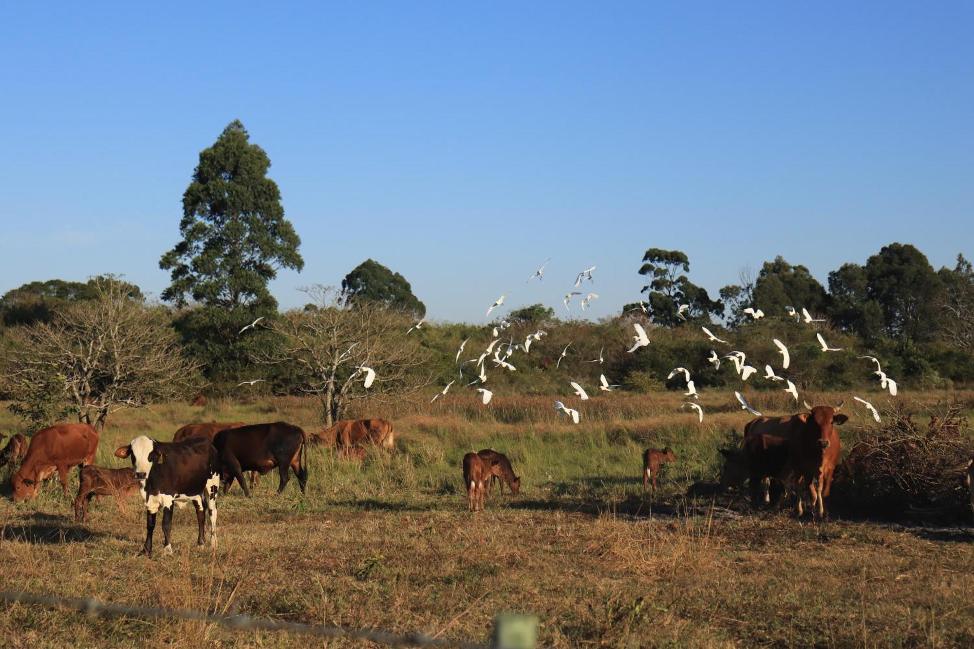 Mabuda Guest Farm Siteki Dış mekan fotoğraf
