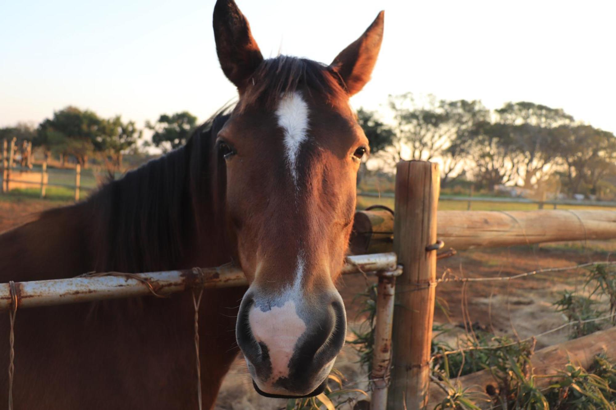 Mabuda Guest Farm Siteki Dış mekan fotoğraf
